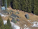 Auch bei der Übung eingesetzt: Haflinger-Pferde des Tragtierzentrums. (Bild öffnet sich in einem neuen Fenster)