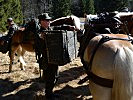 ...leisteten einen enormen Beitrag bei der Versorgung der Truppe Gebirge. (Bild öffnet sich in einem neuen Fenster)