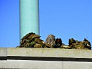 ...eine militärische Sicherung des Anschlagortes wird eingesetzt. (Bild öffnet sich in einem neuen Fenster)