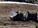...wie die Transporter Hägglunds der deutschen Bundeswehr. (Bild öffnet sich in einem neuen Fenster)