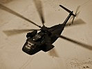 Ein Koloss unter den Hubschraubern - ein deutscher CH-53. (Bild öffnet sich in einem neuen Fenster)