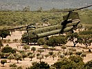 Ein CH-47 "Chinook" der niederländischen Luftwaffe beim Landeanflug. (Bild öffnet sich in einem neuen Fenster)