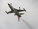 Ein Soloflieger der Turkish Stars. (Bild öffnet sich in einem neuen Fenster)
