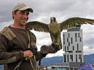 Martin Hergel von Raymond Falcons mit Falken vor dem Tower in Zeltweg.
