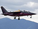 Dassault/Dornier Alpha Jet. (Bild öffnet sich in einem neuen Fenster)