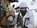 Haflinger-Pferde der Tragtierstaffel des Stabsbataillons 6... (Bild öffnet sich in einem neuen Fenster)
