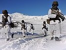 2.600 Soldaten aus Österreich und Deutschland trainieren bei der Übung. (Bild öffnet sich in einem neuen Fenster)