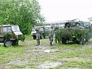 Getarnte Pinzgauer vor dem Abmarsch. (Bild öffnet sich in einem neuen Fenster)