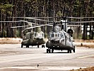 Die Riesen unter den Teilnehmern: die niederländischen "Chinook". (Bild öffnet sich in einem neuen Fenster)