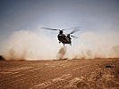 Der CH-47 CHINOOK kurz vor dem Aufsetzen in der Landezone. (Bild öffnet sich in einem neuen Fenster)