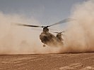 Anlandung einer niederländischen CH-47 CHINOOK. (Bild öffnet sich in einem neuen Fenster)