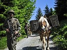 Haflinger-Tragtiere versorgten die Truppe im hochalpinen Gelände. (Bild öffnet sich in einem neuen Fenster)