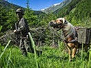 Die Haflinger-Pferde des Tragtierzentrums vom Stabsbataillon 6 im Einsatz. (Bild öffnet sich in einem neuen Fenster)