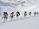 Gemeinsam dem Ziel entgegen, quer durch das verschneite Hochgebirge. (Bild öffnet sich in einem neuen Fenster)