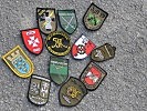 Soldaten vieler Verbände trainieren gemeinsam. (Bild öffnet sich in einem neuen Fenster)