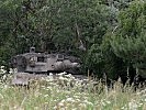 Der getarnte "Leopard"überwacht das Gelände. (Bild öffnet sich in einem neuen Fenster)