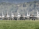 Polnische Flugzeuge vom Typ PZL-130TC-I Orlik. (Bild öffnet sich in einem neuen Fenster)