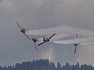 Hohe Flugkunst. (Bild öffnet sich in einem neuen Fenster)