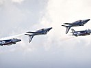 Höchste Konzentration beim Formationsflug. (Bild öffnet sich in einem neuen Fenster)