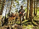 Die Haflinger-Pferde des Tragtierzentrums vom Stabsbataillon 6. (Bild öffnet sich in einem neuen Fenster)