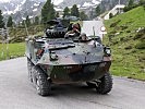 Schweizer Mannschaftstransportpanzer vom Typ Piranha sind auch mit dabei. (Bild öffnet sich in einem neuen Fenster)