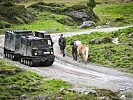 Deutsche Hägglunds und österreichische Haflinger-Tragtiere. (Bild öffnet sich in einem neuen Fenster)