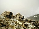 Scharfschützentrupp mit schwerem Scharfschützengewehr in Stellung. (Bild öffnet sich in einem neuen Fenster)