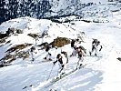 Fast 4.000 Höhenmeter müssen die Teams bei der "Edelweiss Raid" meistern. (Bild öffnet sich in einem neuen Fenster)