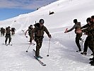 Das siegreiche Team der Gebirgsinfanteriebrigade 12 aus der Schweiz. (Bild öffnet sich in einem neuen Fenster)