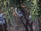 Die Kampfpanzer sind im Wald untergezogen. (Bild öffnet sich in einem neuen Fenster)