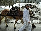 Wesentlicher Bestandteil der Transportkette im Hochgebirge sind Tragtiere. (Bild öffnet sich in einem neuen Fenster)