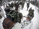 Tragtiere werden von deutschen Soldaten bepackt. (Bild öffnet sich in einem neuen Fenster)