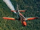 Ein Jet vom Typ "CASA C 101" der Patrulla Aguila aus Spanien. (Bild öffnet sich in einem neuen Fenster)