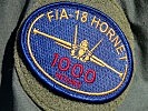 ...und hier die F/A-18 "Hornet". (Bild öffnet sich in einem neuen Fenster)