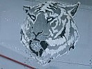 Und noch ein Tiger. (Bild öffnet sich in einem neuen Fenster)