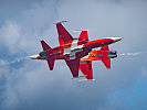 Patrouille Suisse. (Bild öffnet sich in einem neuen Fenster)