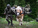 Teamwork nimmt bei Gebirgssoldaten einen hohen Stellenwert ein.