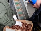Verbrennen von Munition. (Bild öffnet sich in einem neuen Fenster)