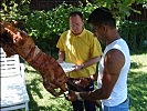 Für das leibliche Wohl ist gut gesorgt: ein Spanferkel wird gegrillt. (Bild öffnet sich in einem neuen Fenster)