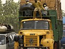 Ein Lkw transporiert Holz. (Bild öffnet sich in einem neuen Fenster)