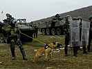 Auch Militärhunde wurden bei der Übung eingesetzt. (Bild öffnet sich in einem neuen Fenster)