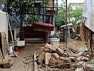 ...die massiven Verwüstungen... (Bild öffnet sich in einem neuen Fenster)