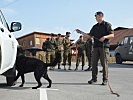Der Hundeführer mit seinem Sprengstoff-Spürhund. (Bild öffnet sich in einem neuen Fenster)