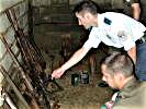 Kosovo Police Service unterstützt bei der Identifizierung. (Bild öffnet sich in einem neuen Fenster)