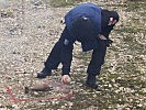 Verstreute Munition wird durch Kampfmittelbeseitiger markiert. (Bild öffnet sich in einem neuen Fenster)
