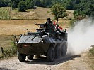 Der Radpanzer "Pandur" hat sich einmal mehr bewährt. (Bild öffnet sich in einem neuen Fenster)