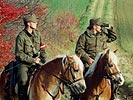 Auch die bewährten Haflinger-Pferde... (Bild öffnet sich in einem neuen Fenster)