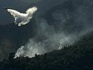 Aus ihren 800-Liter-Tanks versprühen sie Wasser auf die Flammen. (Bild öffnet sich in einem neuen Fenster)