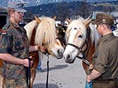 ...und mit einem Soldaten der deutschen Bundeswehr. (Bild öffnet sich in einem neuen Fenster)