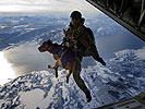 2010: Ein Soldat des Jagdkommandos springt mit dem Fallschirm ab. (Zum Vergößern ancklicken!)